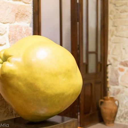 B&B S'Asilo Sardegna Banari Luaran gambar